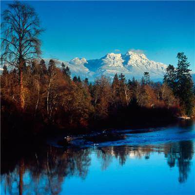 北京pk赛车app官网下载安装