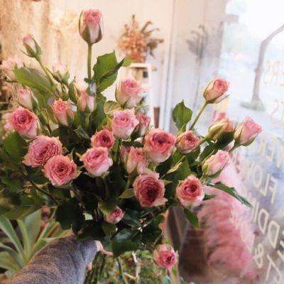 BOB半岛·体育官方平台